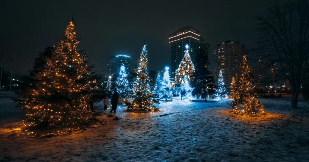 A landscape of decorated Christmas trees placed on snow, presenting tree decoration as Christmas date ideas.
